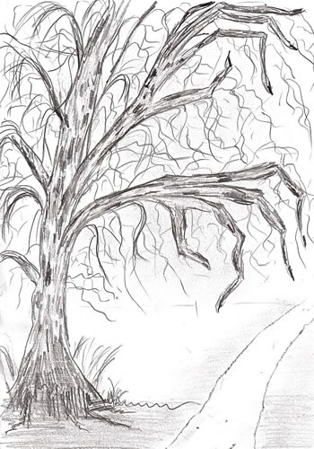 De Boom grippt na di! -- Teknen: Ole Nissen