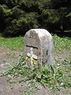 Kr&uuml;&uuml;z-Steen. Bild: Pixelio, &copy; Dirk Schmidt 