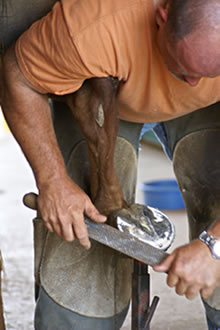 Peer-Pedik&uuml;re. Bild: Wikimedia Commons, Belinda Hankins M&uuml;ller USA