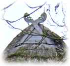 Detail von dat Hus in Tankenrade, s&uuml;h Foto &uuml;nnen