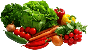 Gr&ouml;&ouml;nt&uuml;&uuml;ch