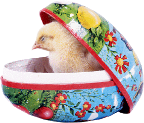 Opwaken, l&uuml;tt Hauhn!