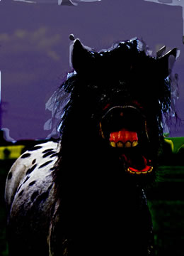 S&uuml;nd Peer etwa Fleeschfreter...?