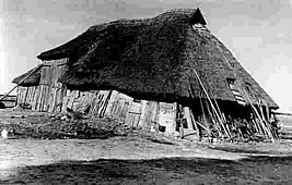 Ole Sch&uuml;&uuml;n op de Insel Oie