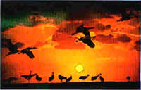 De Kraunen (Kraniche) warrn j&uuml;mmer danzen