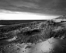 De D&uuml;nen op'n Zingst
