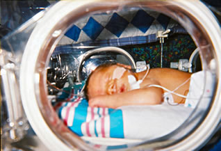 Inkubator. Bild: David Vetter/Wikimedia Commons