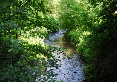 &copy; Pixelio, Foto: Betty 