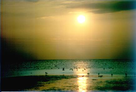 De S&uuml;nn brennt. Foto: &copy; Rudi Witzke