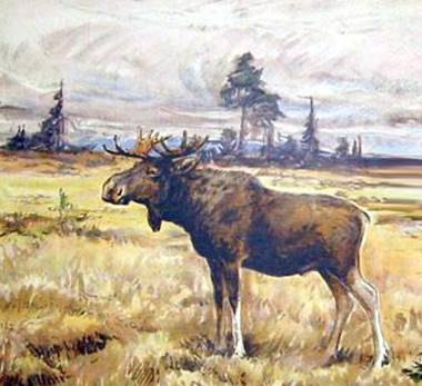 Ahn mi, de Bl&ouml;dsinn!