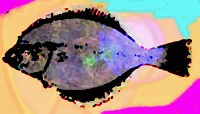 S&uuml;nndag Judica: Fisch