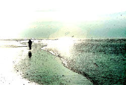 Klick op to'n Vergr&ouml;ttern!