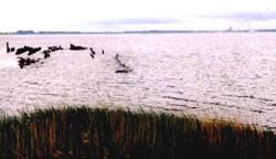 Klick op to'n Vergr&ouml;ttern!