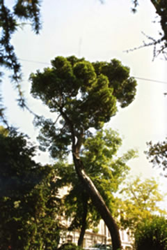 B&ouml;&ouml;gt in'n Storm