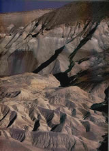 W&ouml;&ouml;st Negev