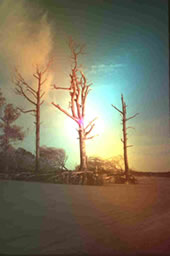 Keen Gr&ouml;&ouml;n?