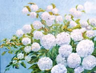 Laat Se Ehr Finger &ouml;ver den Sneeball glieden...