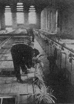 He geet de Blomen op de D&auml;cker vun de Kabuffs in't "Lange Huus". Histoorsche Opnahm. Klick op to'n Vergr&ouml;ttern!