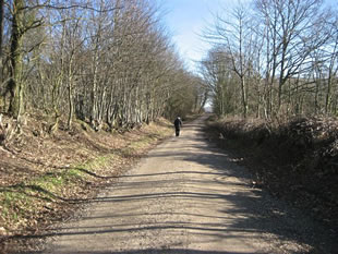 Weg na't St&uuml;lper Huk