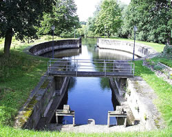 De ole Palmsl&uuml;&uuml;s. - Klick op to'n Vergr&ouml;ttern!