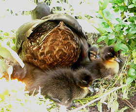 Sooo s&ouml;&ouml;&ouml;&ouml;t...