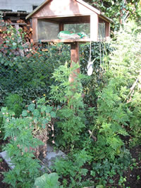 Klick op to'n Vergr&ouml;ttern!