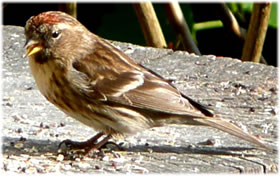 Wat, b&uuml;st du ok noch da?