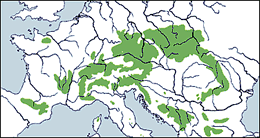 Woneem de Dann an'n mehrsten v&ouml;rk&uuml;mmt