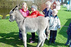 Ik b&uuml;n en Kinnerstar, da is Iesboor Knut nix dagegen!