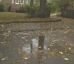 Harvst, Regen, natte Bl&auml;der...