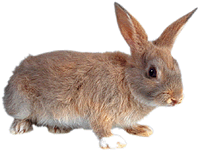 "Schiet-M&auml;nnerdiskriminierung! Woso warr ik as Buck in de Welt rutjaagt, un de Deerns dr&ouml;fft tohuus blieven?"