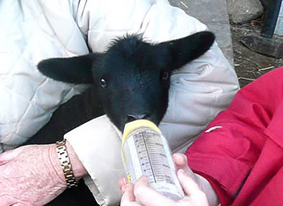 Uff! H&uuml;lp is da!