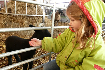 Wi s&uuml;nd Fr&uuml;nnen, Emma un ik