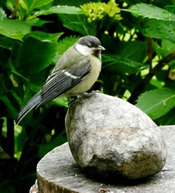 B&uuml;n ik nich groot?