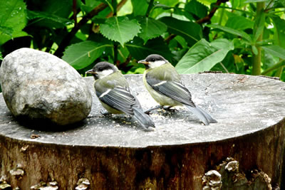 Un Tsch&uuml;&szlig;!