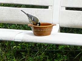 Ts, ts! Woneem min Sch&ouml;ttel wedder henkamen is!