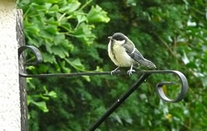 Dat l&uuml;nkt mi hier to dull