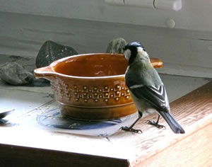 Grote Sch&ouml;ttel, l&uuml;tte Meesch...