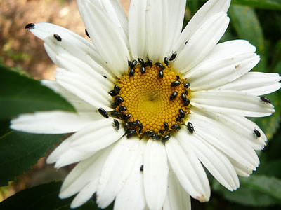 Foto: Antje He&szlig;ler. -- Klick op to'n Vergr&ouml;ttern!