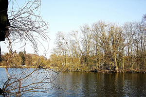 De Reiherinsel. -- Klick op to'n Vergr&ouml;ttern!