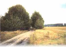 "Hoch &uuml;ber Sumpf und Sand..."