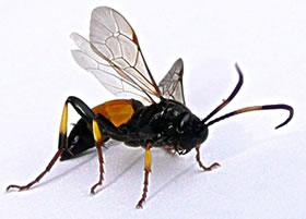 Klick op to'n Vergr&ouml;ttern!