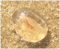 Klick op to'n Vergr&ouml;ttern!