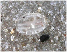 Swemmen Seestickelbeer. Klick op to'n Vergr&ouml;ttern!