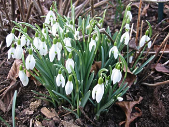 Klick op to'n Vergr&ouml;ttern!