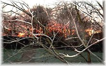 Een S&uuml;nnopgang in'n Dezember