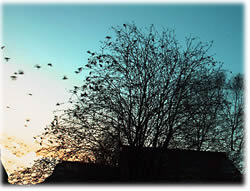 Klick op dat Bild to'n Vergr&ouml;ttern!