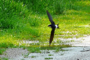 Klick op to'n Vergr&ouml;ttern!