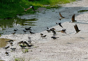 Klick op to'n Vergr&ouml;ttern!