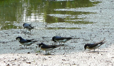 Klick op to'n Vergr&ouml;ttern!